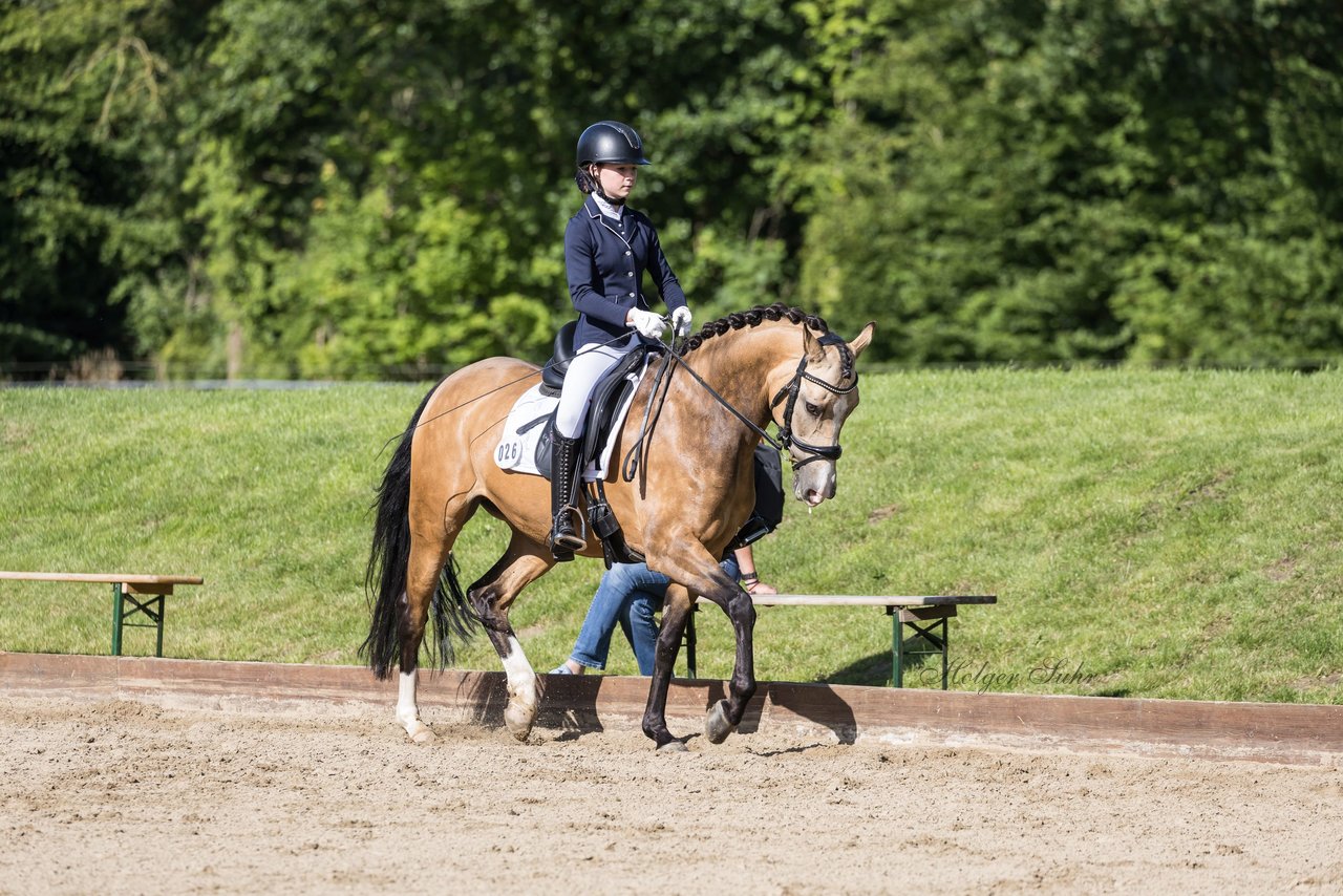 Bild 550 - Pony Akademie Turnier